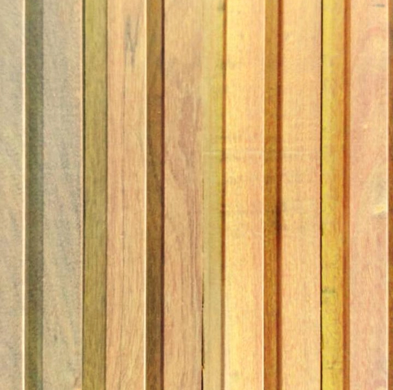 foto ilustrativa Remoção Segura