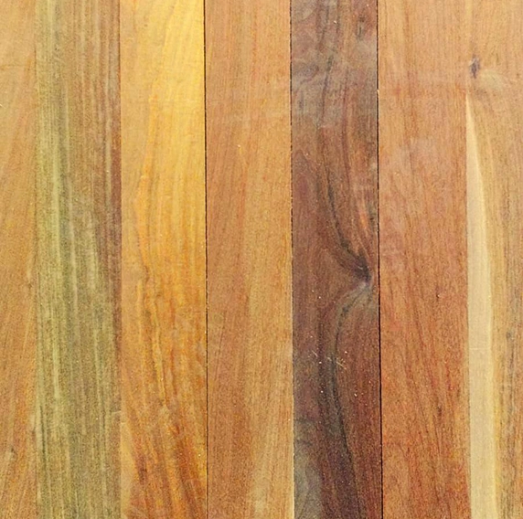 foto ilustrativa Remoção Segura