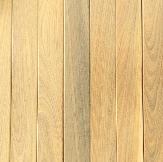 foto ilustrativa Remoção Segura