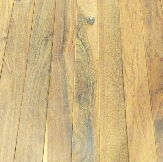 foto ilustrativa Remoção Segura