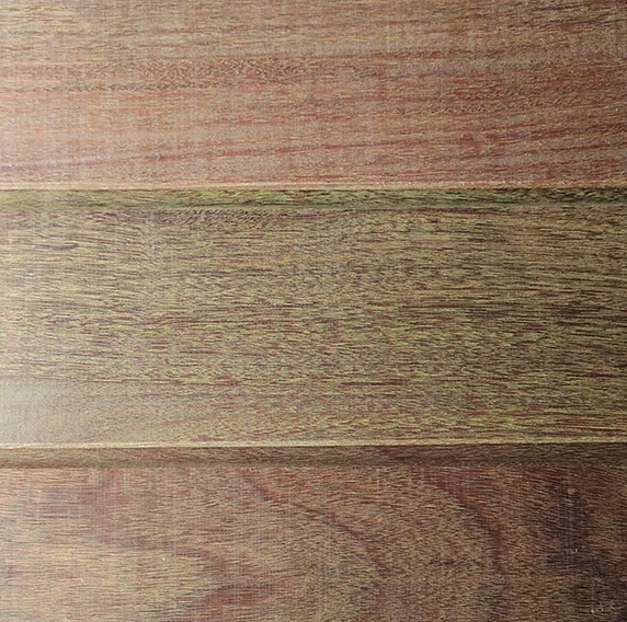 foto ilustrativa Remoção Segura